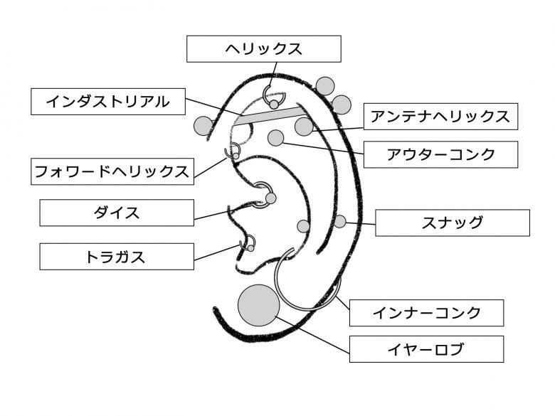 ボディピアス部位別