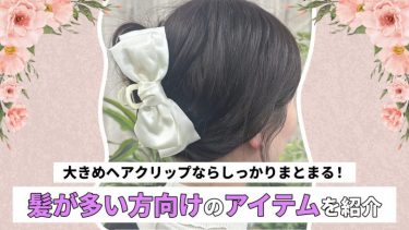 ヘアクリップ 大きめ