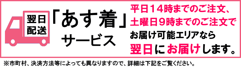 あす着について 激安アクセサリー通販 Lupis ルピス ルピス Lupis 公式サイト 激安アクセサリー通販